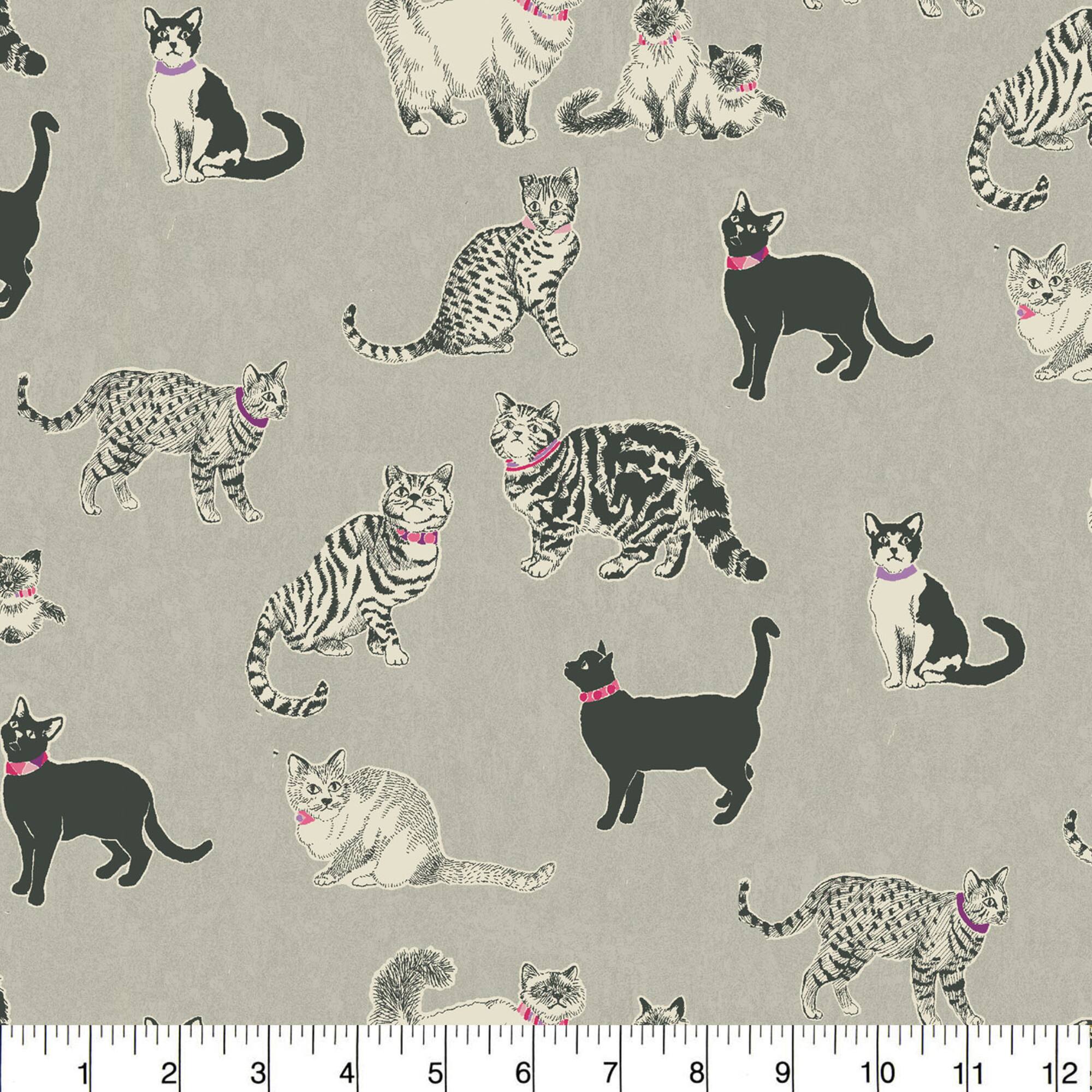 Pkl Studio Charcoal Pretty Kitty Cotton Home Décor Fabric
